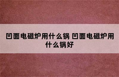 凹面电磁炉用什么锅 凹面电磁炉用什么锅好